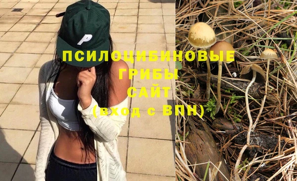 таблы Алзамай