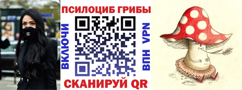 Псилоцибиновые грибы GOLDEN TEACHER  darknet какой сайт  Десногорск 